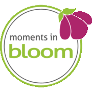 Moments in Bloom