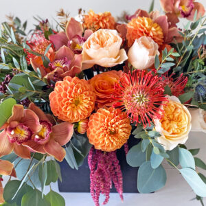 Blooms – Moments In Bloom